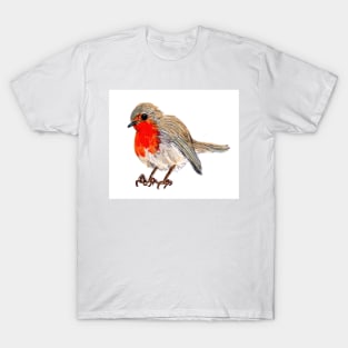 Robin redbreast T-Shirt